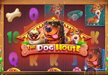 Microgaming - игровой автомат онлайн от Various с RTP 96.42%